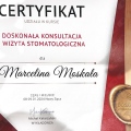 Powiększ obraz: certificate 13