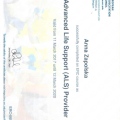 Powiększ obraz: certificate 9