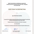 Powiększ obraz: certificate 7