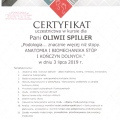 Powiększ obraz: certificate 9