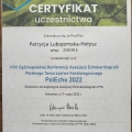 Powiększ obraz: certificate 4