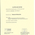 Powiększ obraz: certificate 26
