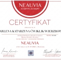 Powiększ obraz: certificate 2