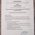 Powiększ obraz: certificate 2