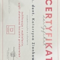 Powiększ obraz: certificate 7