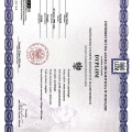 Powiększ obraz: certificate 1