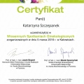 Powiększ obraz: certificate 2