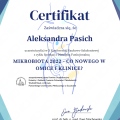 Powiększ obraz: certificate 2