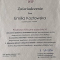 Powiększ obraz: certificate 3