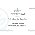 Powiększ obraz: certificate 7