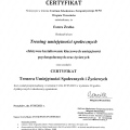 Powiększ obraz: certificate 4
