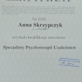Powiększ obraz: certificate 1