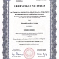 Powiększ obraz: certificate 3
