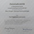 Powiększ obraz: certificate 6