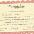 Powiększ obraz: certificate 32