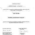 Powiększ obraz: certificate 6