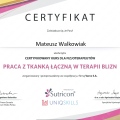 Powiększ obraz: certificate 7