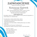 Powiększ obraz: certificate 10