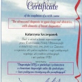 Powiększ obraz: certificate 3