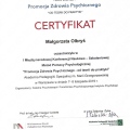 Powiększ obraz: certificate 12