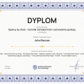Powiększ obraz: certificate 2