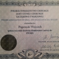 Powiększ obraz: certificate 1