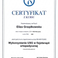 Powiększ obraz: certificate 4