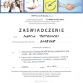 Powiększ obraz: certificate 105