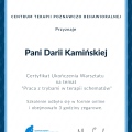 Powiększ obraz: certificate 28