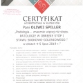Powiększ obraz: certificate 11