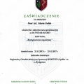 Powiększ obraz: certificate 4