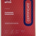 Powiększ obraz: certificate 48