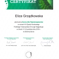 Powiększ obraz: certificate 10