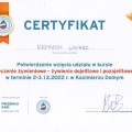 Powiększ obraz: certificate 14