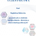 Powiększ obraz: certificate 15