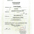 Powiększ obraz: certificate 2