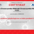 Powiększ obraz: certificate 13