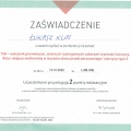 Powiększ obraz: certificate 2