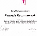 Powiększ obraz: certificate 10