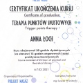 Powiększ obraz: certificate 4