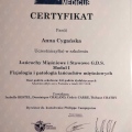 Powiększ obraz: certificate 3