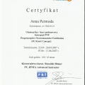 Powiększ obraz: certificate 5