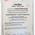 Powiększ obraz: certificate 8