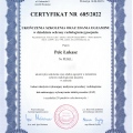 Powiększ obraz: certificate 23
