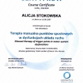 Powiększ obraz: certificate 5