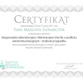 Powiększ obraz: certificate 8