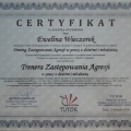 Powiększ obraz: certificate 10