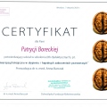 Powiększ obraz: certificate 11
