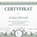 Powiększ obraz: certificate 1