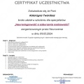 Powiększ obraz: certificate 5